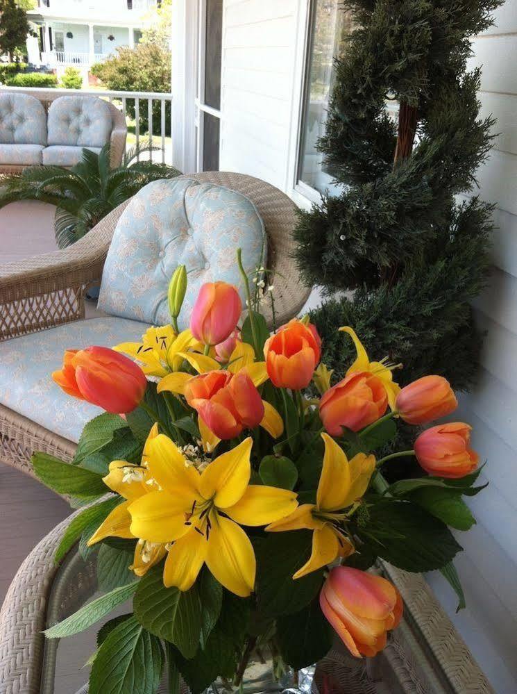 Bay Haven Inn Of Cape Charles Esterno foto